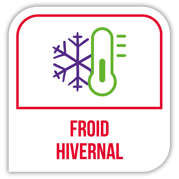 Froid hivernal
